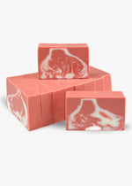 Pumpkin Spice Bar Soap - Pack of 10