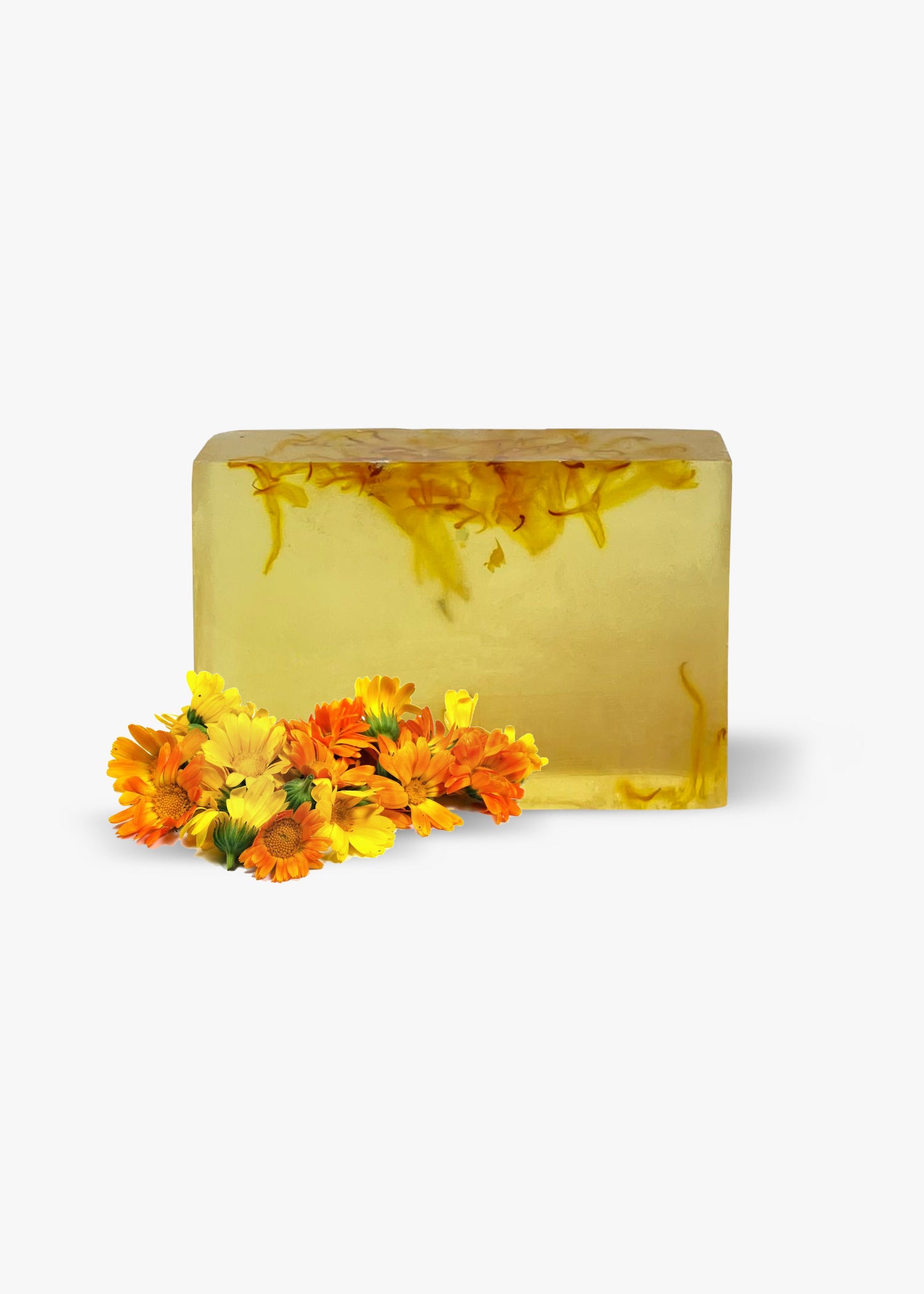 Calendula Pumpkin Ginger Tea Bar Soap - Pack of 10