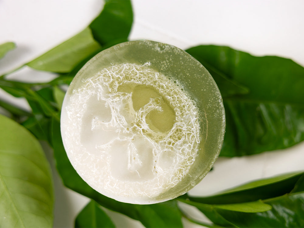 Mojito (Mint & Lime) Loofah Soap