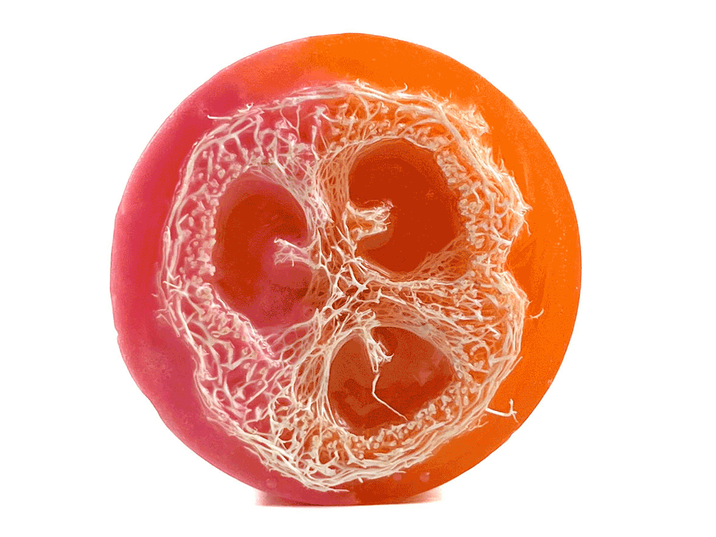 Natural Loofah Soap - Grapefruit Lily